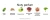 5001-GOLD-6001.webp
