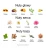 5003-VCAN-6003.webp