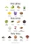 5006-CRE-6006.webp