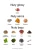 5006-ORT-6007.webp