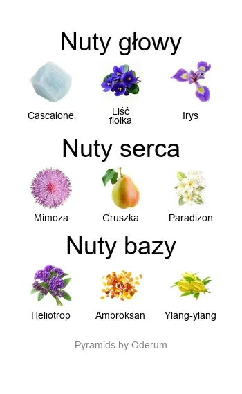 1820-AMOU-0026.webp