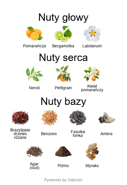 Xerjoff Kobe nuty zapachowe