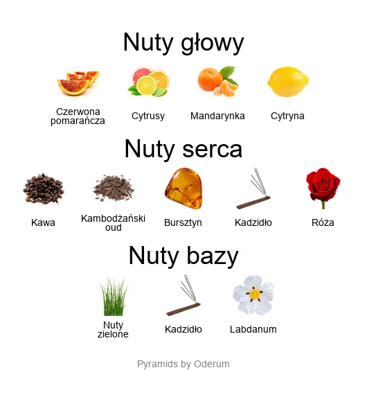 Xerjoff Golden Moka nuty zapachowe