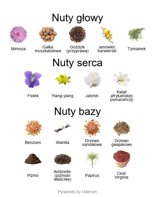 Amouage Opus III nuty