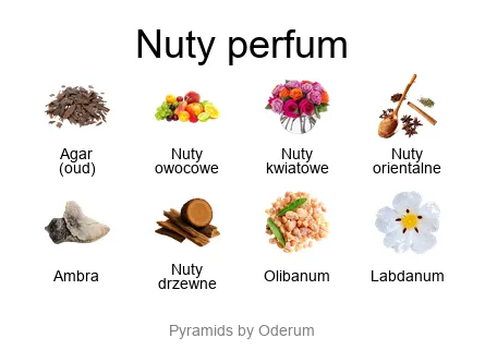 Piramida nut Xerjoff More Than Words