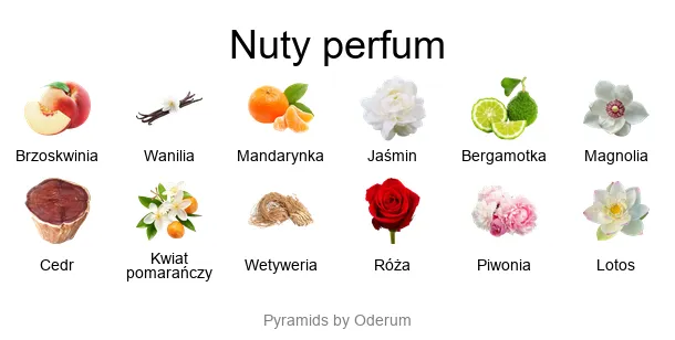 Chanel Allure Eau de Parfum