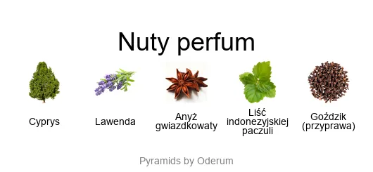 Goldfield & Banks Blue Cypress piramida zapachowa