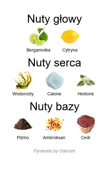 Piramida zapachowa Orto Parisi Megamare