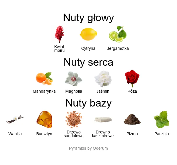 Piramida zapachowa Ingenious Ginger