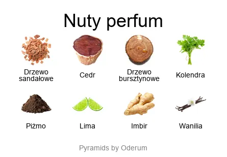 Diptyque Tam Dao Eau de Parfum