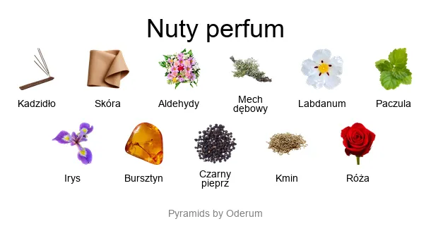 Etat Libre d’Orange Rien Intense Incense – piramida zapachowa