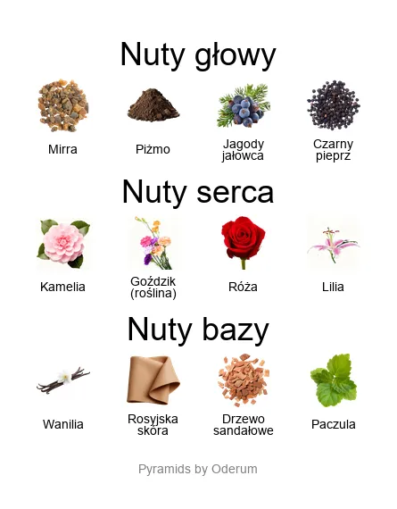 V Canto Cor Gentile piramida zapachowa