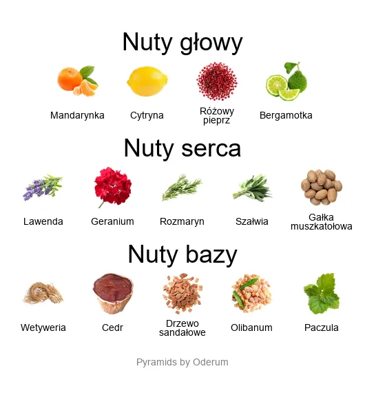 Creed Viking Cologne