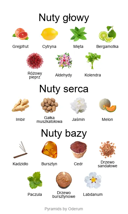 Chanel Bleu de Chanel EDP – piramida zapachowa