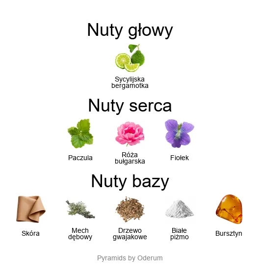 Mancera Wild Leather – piramida zapachowa