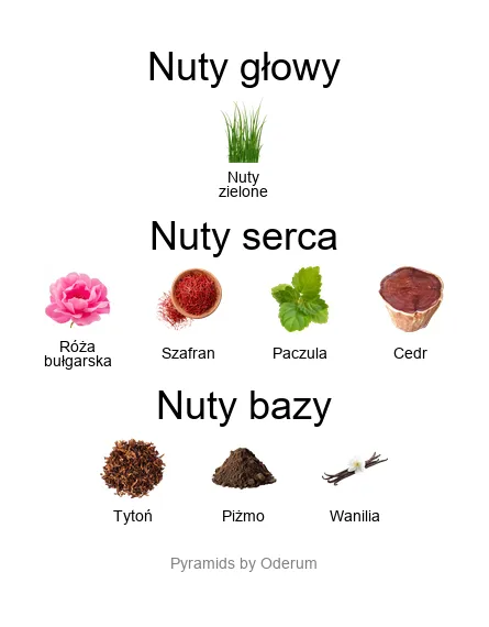 Xerjoff Wardasina – piramida zapachowa