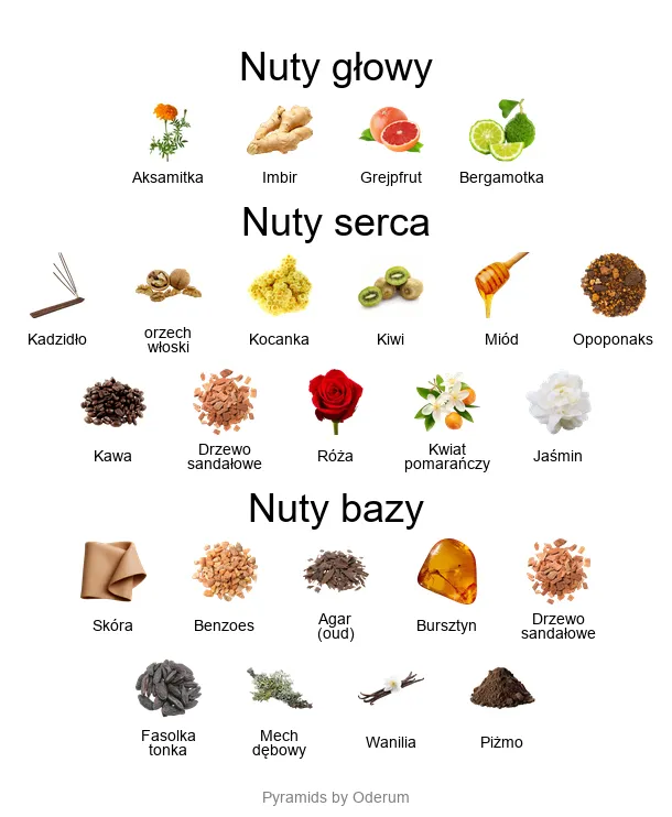 Amouage Interlude Woman – piramida zapachowa