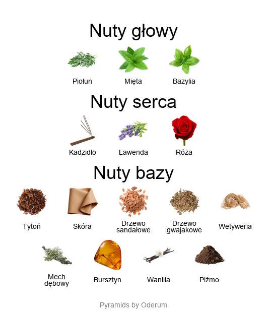 Amouage Memoir Man – piramida zapachowa