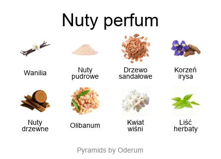 Xerjoff Shunkoin nuty