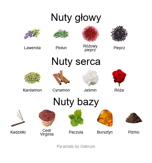 Amouage Opus II – piramida zapachowa