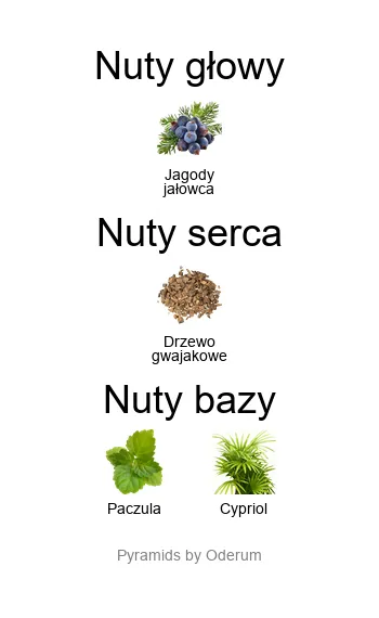 Matiere Premiere Bois d’Ebene – niszowe drzewne perfumy z jałowcem, drzewem gwajakowym, paczulą i cypriolem