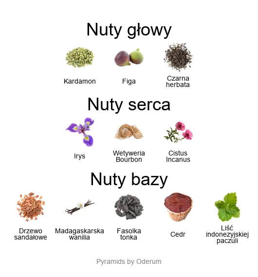 BDK Gris Charnel Extrait – piramida zapachowa