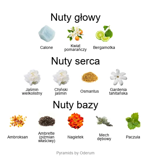 Piramida nut zapachowych Atelier des Ors Nuda Veritas