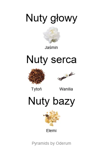 Amouage Portrayal Woman – piramida nut