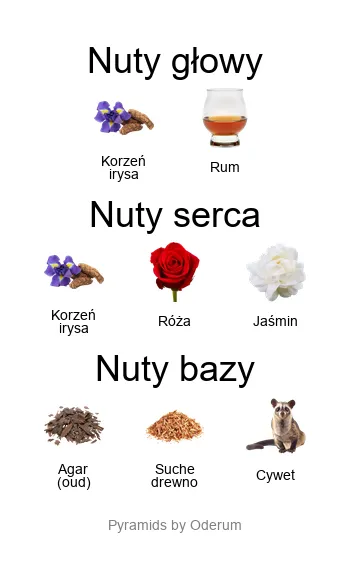 Amouage Opus V Woods Symphony – piramida nut