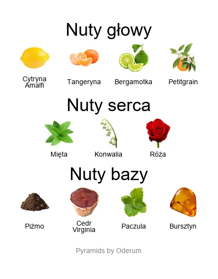 Xerjoff 1861 Renaissance – piramida nut