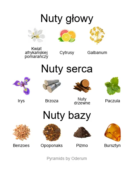 Piramida nut zapachowych Xerjoff Elle