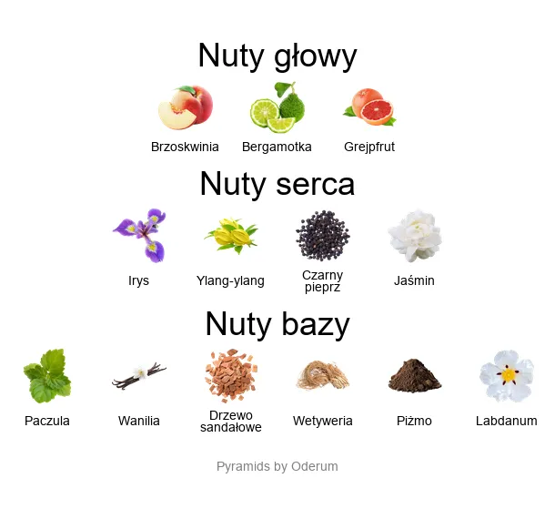 Piramida nut zapachowych Xerjoff XXY