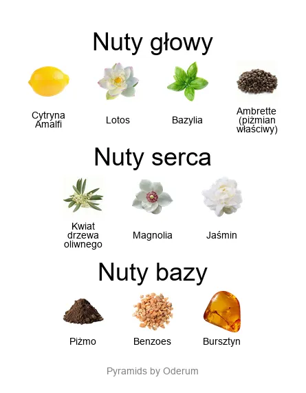 Piramida nut zapachowych Xerjoff Fiore d'Ulivo