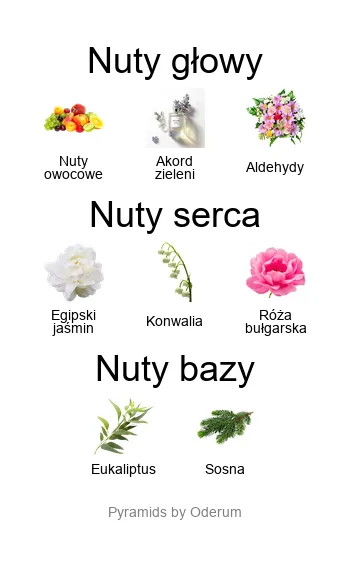 Piramida zapachowa Xerjoff Accento Overdose