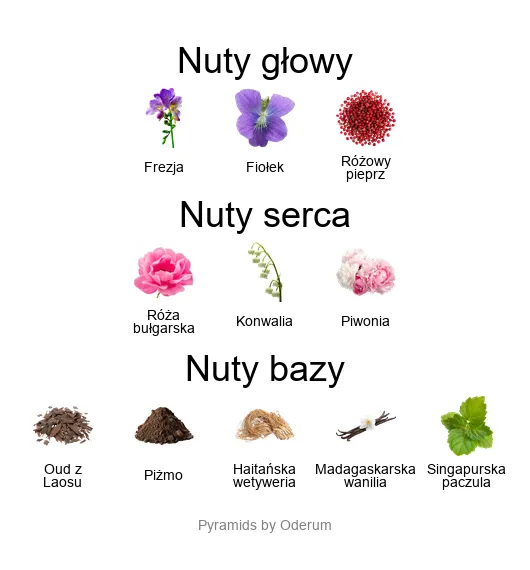 Piramida zapachowa Xerjoff Jabir