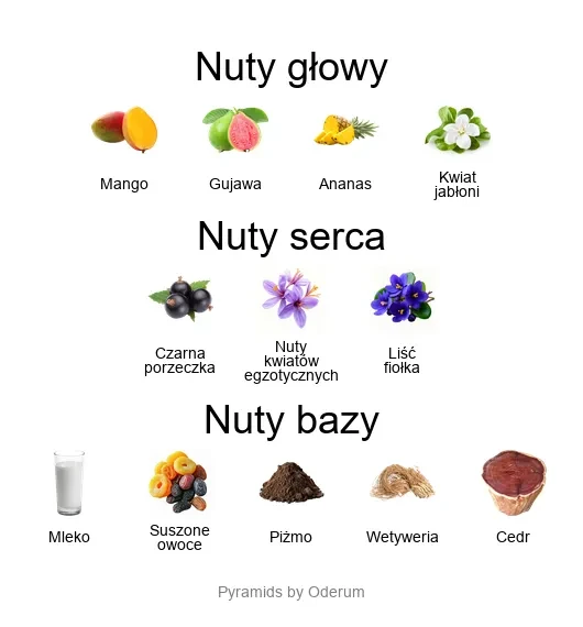 Xerjoff Piramida nut Xerjoff Cruz del Sur II