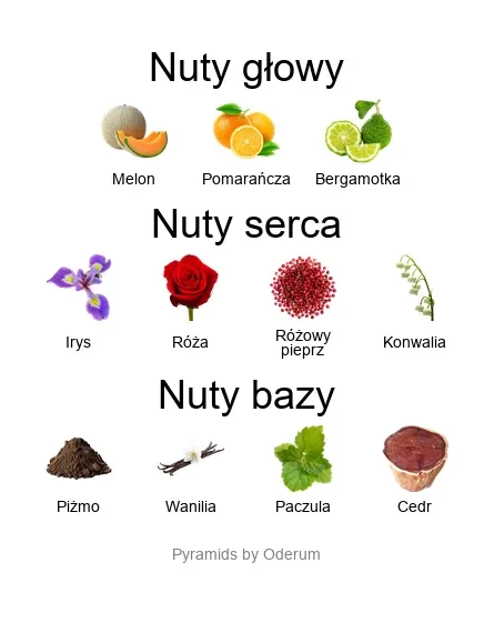 Xerjoff Piramida zapachowa Xerjoff Lua