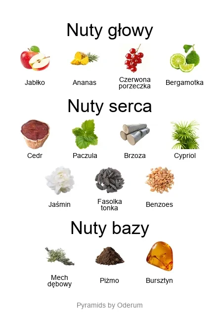 V Canto Piramida zapachowa V Canto Arsenico