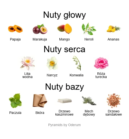 V Canto Piramida zapachowa V Canto Cianuro