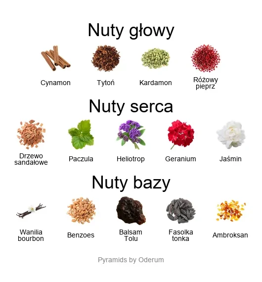Creed Piramida zapachowa Creed Centaurus