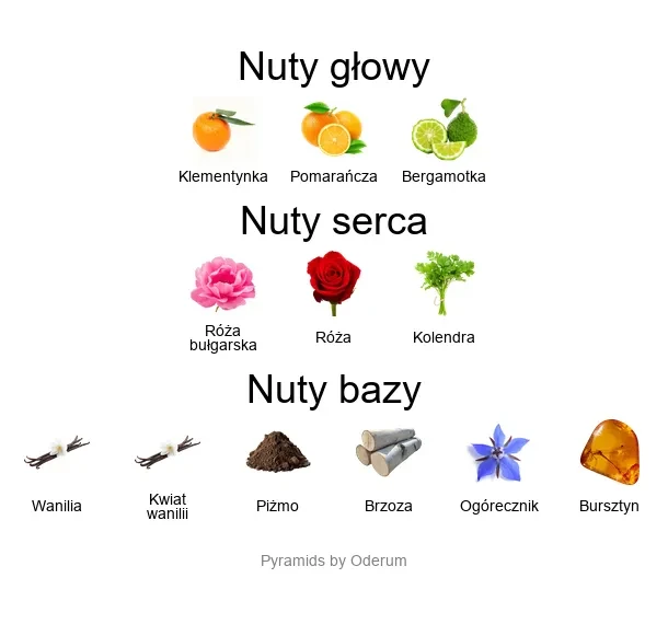 V Canto Piramida zapachowa V Canto Cicuta
