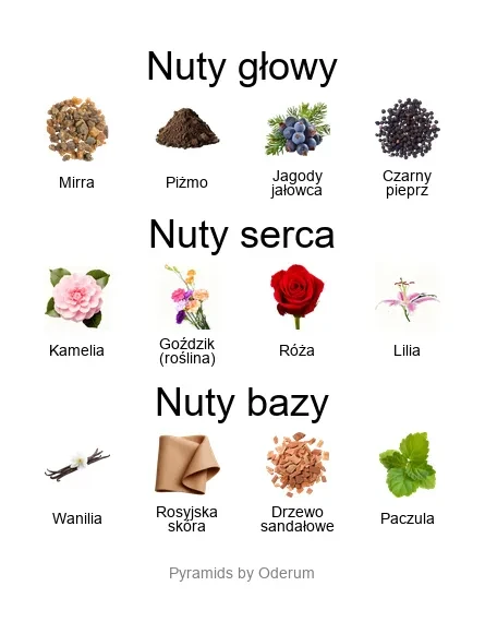 V Canto V Canto Cor Gentile piramida zapachowa