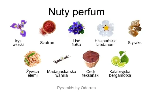 Herve Gambs Paris Piramida zapachowa perfum