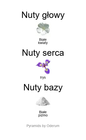 Xerjoff Xerjoff Apollonia – piramida nut zapachowych
