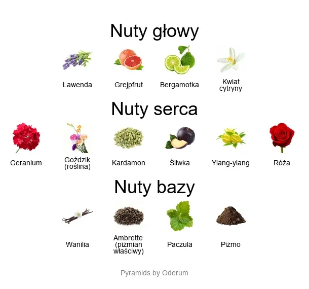 Xerjoff Piramida nut zapachowych