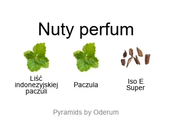 Escentric Molecules Escentric Molecules Molecule 01 + Patchouli – piramida zapachowa