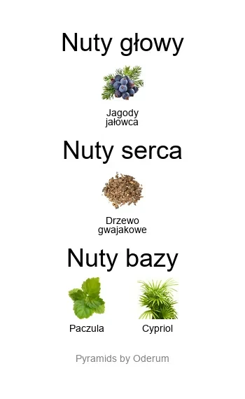 Matiere Premiere Matiere Premiere Bois d’Ebene – niszowe drzewne perfumy z jałowcem, drzewem gwajakowym, paczulą i cypriolem