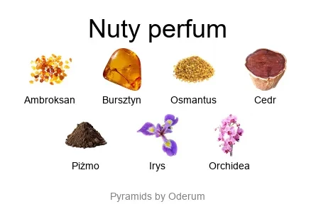 Ormonde Jayne Ormonde Jayne Ambre Royal – luksusowe perfumy z bursztynem, irysem i ambroksanem