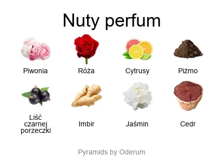 Cherigan Cherigan Lovers in Pink – kwiatowe perfumy z piwonią, różą i piżmem