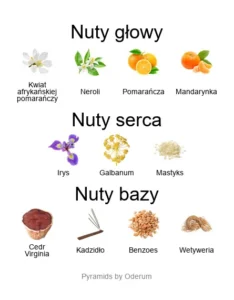 Prada Infusion d'Iris - piramida nut zapachowych
